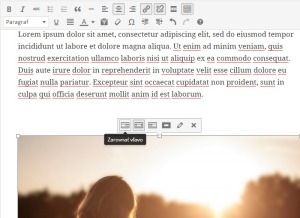 inlineImageEditor